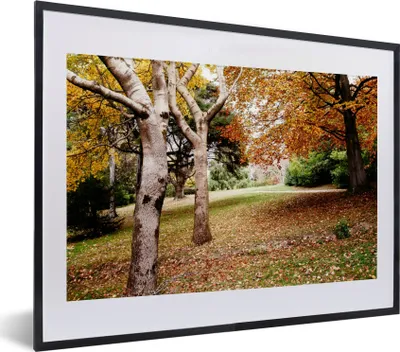 Produktbild von MuchoWow® Gerahmtes Poster Herbst - Bäume - Laub - Natur 40x30 cm - Poster mit Schwarzem Bilderrahmen Wandposter Rahmen Foto Bilder - Bilderrahmen - Poster im Rahmen