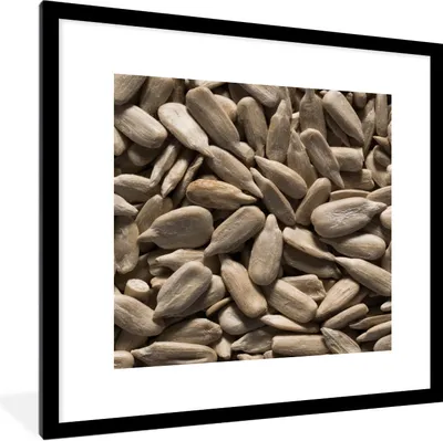 Produktbild von MuchoWow® Gerahmtes Poster Nahaufnahme der hellen Sonnenblumenkerne 40x40 cm - Poster mit Schwarzem Bilderrahmen Wandposter Rahmen Foto Bilder - Poster - Plakat im Rahmen