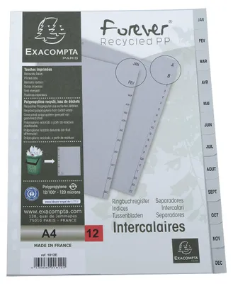Zdjęcie produktu dla EXACOMPTA 1812E Pilniki plastikowe EXACOMPTA, styczeń - grudzień, DIN A4, 12 części