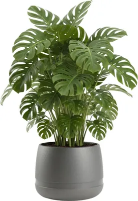 Produktbild von HowHomely | Pflanzgefäß - Blumenkübel - B48x38 cm - grau - Übertopf - Pflanzentopf - Praktisch