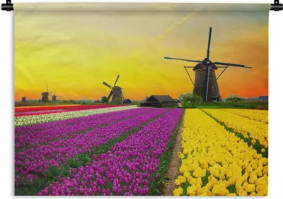 Produktbild von MuchoWow® Wandteppich Wandbehang Windmühle - Tulpen - Blumen - Frühling 120x90 cm Tapisserie Dekoration Wandtuch - Wohnen - Aufhänger für die Wand