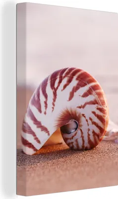 Produktbild von MuchoWow® - Leinwandbilder - Muschel - Strand - Meer - Sand, Wandbild, Wanddeko Bilder Wohnzimmer, 40x60 cm