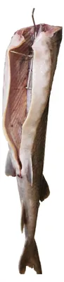Produktbild von Haken zum Räuchern von Fisch 21cm x 5 - Räucherfischhaken, Fleischhaken, Raucherhaken, Metzgerhaken