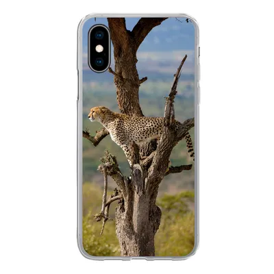 Produktbild von MuchoWow® Handyhülle Schutzhülle Hülle für iPhone X Leopard - Baum - Tier Silikon Softcase Handy Hülle - Handyhülle