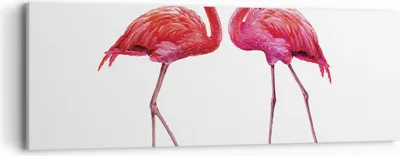Produktbild von Bild auf Leinwand - Leinwandbild - Einteilig - Flamingos Rosa Paar - 90x30cm - Wand Bild - Wanddeko - Wandbilder - Leinwanddruck - Bilder - Wanddekoration - Leinwand bilder - Wandbild - AB90x30-4243