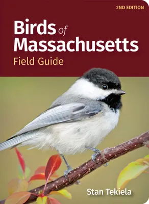 Produktbild von Birds of Massachusetts Field Guide