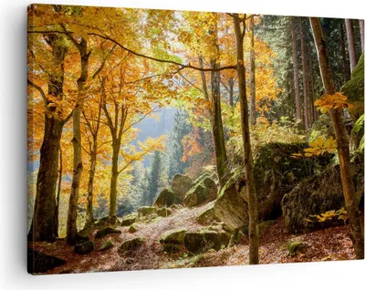 Produktbild von Bild auf Leinwand - Leinwandbild - Herbst berg wald natur - 70x50cm - Wand Bild - Wanddeko - Leinwanddruck - Bilder - Kunstdruck - Wanddekoration - Leinwand bilder - Wandkunst - AA70x50-2713