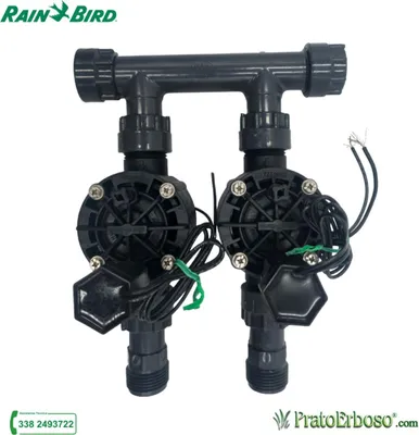 Image de Collecteur à 2 stations avec électrovanne Rain Bird HV 24V