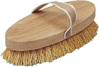 Zdjęcie produktu dla SZCZOTKA DO KONI RADICA 220 x 95 mm