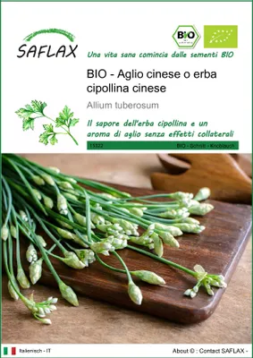 Immagine prodotto di SAFLAX -- Aglio cinese o erba cipollina cinese - 100 semi - Allium