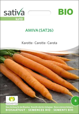 Artikelbild 1 von 'BIO Karotte Amiva (SAT26)' aus der Kategorie Möhrensamen