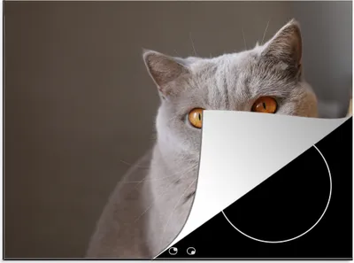 Produktbild von KitchenYeah© Herdabdeckplatte Katze - Tiere - Augen , 59x52cm, Küche Deko, Glaskeramikkochfeld Herdabdeckung, Abdeckplatte fùr Kochfeld