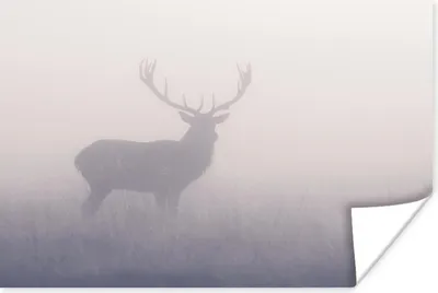 Produktbild von MuchoWow® Poster Hirsche - Nebel - Morgen 180x120 cm - Fotoplakat