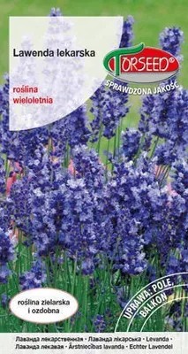 Produktbild von Samen von Lavendel, Lavandula officinalis 0.2g - Torseed