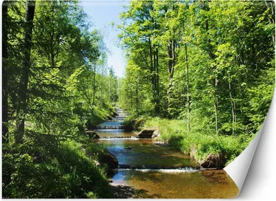 Produktbild von Vlies fototapete Gebirgsbach Wald natur 300x210 cm Feeby Grün inkl. Kleber einfache Montage