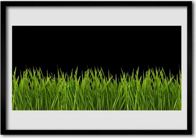 Produktbild von Bild 100x70 MDF-Rahmen Wandkunst Green Grass Natur
