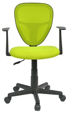 Produktbild von Schreibtischstuhl Kinder STUDIO ergonomisch, Grün - Kinderschreibtischstuhl für Kinderzimmer, drehbar und höhenverstellbar mit Armlehnen, atmungsaktiver Meshbezug [max. Belastbarkeit 100 kg]