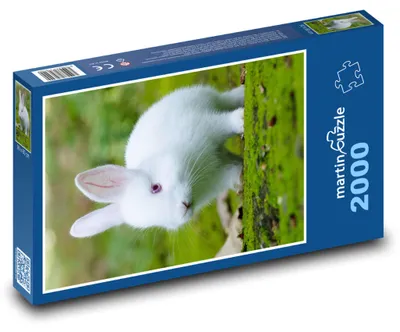 Obrázek produktu pro Puzzle 2000 Roztomilý domácí králík - martinpuzzle