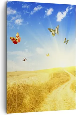 Produktbild von Bild auf Leinwand - Leinwandbild - Einteilig - Schmetterlinge Wiese Gras - 70x100cm - Wand Bild - Wanddeko - Wandbilder - Leinwanddruck - Wanddekoration - Leinwand bilder - Wandbild - PA70x100-0517