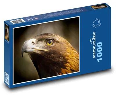 Produktbild von Puzzle 1000 Adler - Raubvogel - martinpuzzle