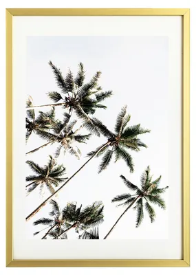 Produktbild von Aluminium-Fotogehäuse in Goldfarbe, 21 x 30 cm