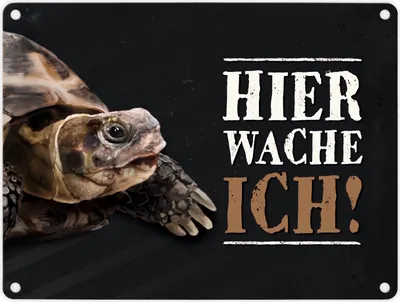 Produktbild von Metallschild mit Schildkröte Motiv und Spruch: Hier wache ich! Metallschild