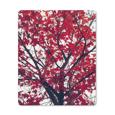 Produktbild von MuchoWow® Mauspad Mousepad Ahorn - Blätter - Herbst - Natur 30x40 cm - Mousepads - Maus Mat - Pad - Mausunterlage - Mausmatten