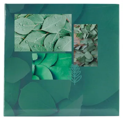 Obrázek produktu pro Hama Singo II, Zelená, 100 listy, Knižní vazba, 100 x 150 mm, Bílá, 1 listy