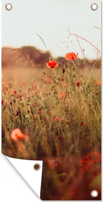 Produktbild von MuchoWow® 80x160 cm Outdoor-Poster Gartendeko Sichtschutz Garten Poster für den Garten  Sonnenuntergang - Blumen - Rot