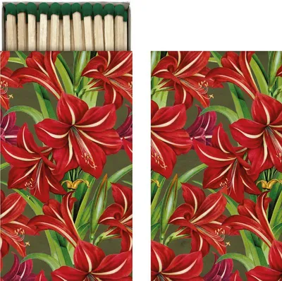 Immagine prodotto di Abbinamenti regalo Fiori di Natale rossi Amaryllis