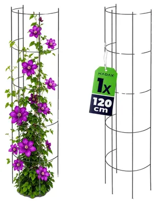 Image de Pergola, structure métallique, hauteur 120 cm, noir