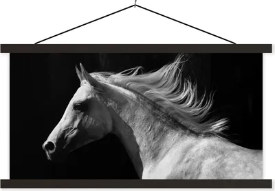 Produktbild von MuchoWow® Textilposter Pferde - Tiere - Porträt 60x30 cm mit schwarzem Rahmen - Textilien