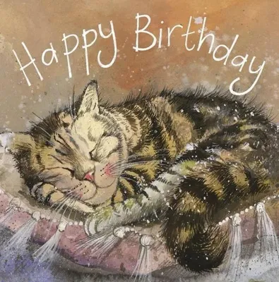 Image de Carte d'anniversaire AC656 « Chat endormi » - Alex Clark