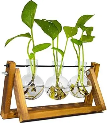 Produktbild von Propagation Station, Ableger Pflanzen Glas für Hydroponische Pflanzen, Pflanzenterrarium mit Holzständer Schmücken ?Büro, Esstisch, Interieur(3 Bulb Vase)