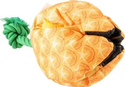 Obrázek produktu pro Svačinová hračka ovoce ananas