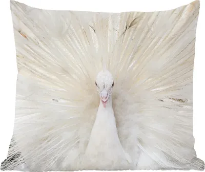 Produktbild von MuchoWow® Zierkissen Sofakissen Wohnzimmer Dekokissen 40x40 cm Pfau - Federn - Weiß - Foto Kissen - Schlafzimmer Dekoration
