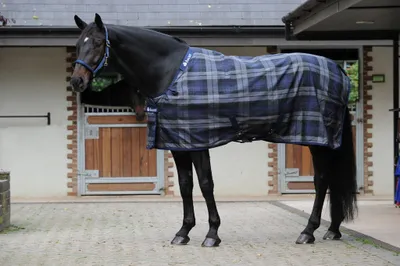 Produktbild von Bucas Celtic Stable Medium Stalldecke 150 g -115 cm navy