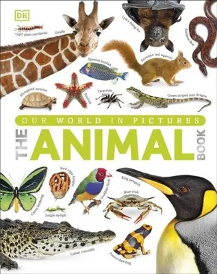 Obrázek produktu pro Our World in Pictures The Animal Book