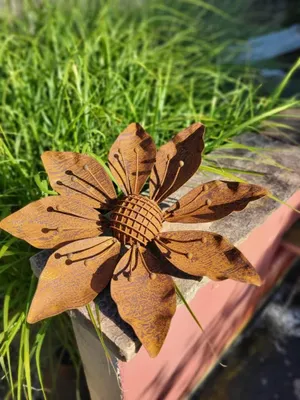 Image de Fleur de la rouille noble "tournesol