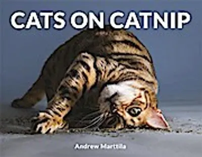 Produktbild von Cats on Catnip