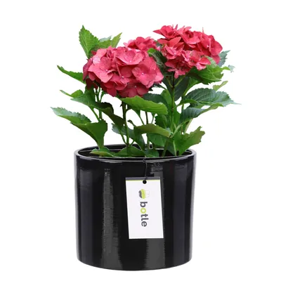Produktbild von Blumentopf Blumenübertopf Gehäuse Farbe Schwarz Rund Ø 13,5cm H 12,5cm Glanz Oberfläche Modern Glamour