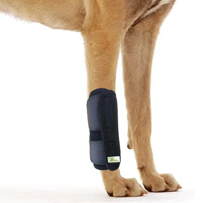 Hunde-Gelenkbandage Vorder-/Hinterbein, Sprunggelenkstütze, S/M