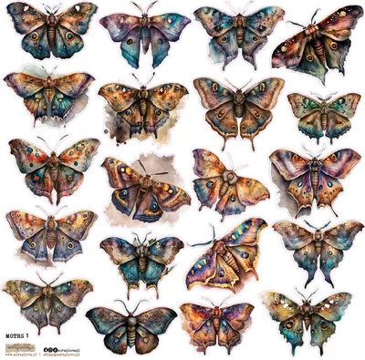Obrázok produktu pre Nálepky - ScrapLove - Moths