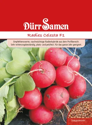 Produktbild von Radies Celesta F1 | Radieschensamen von Dürr Samen