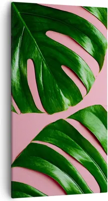 Produktbild von Bild auf Leinwand - Leinwandbild - Einteilig - Monstera Blatt Rosa - 55x100cm - Wand Bild - Wanddeko - Wandbilder - Leinwanddruck - Bilder - Wanddekoration - Leinwand bilder - Wandbild - PA55x100-4407