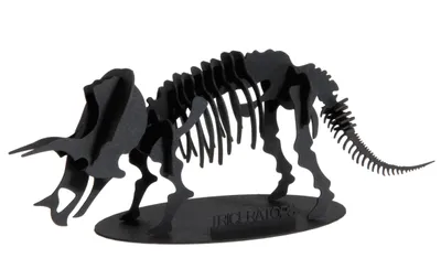 Produktbild von 3D-Modell, Triceratops, Spezialkarton, gelasert