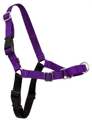 Produktbild von PetSafe Easy Walk Hundegeschirr.