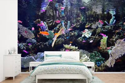Produktbild von MuchoWow® Fototapete für Wohnzimmer oder Schlafzimmer Wandtapete Vinyl Motivtapete Buntes Aquarium - 525x350 cm - Das Hintergrundbild