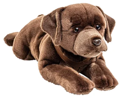 Plüschhund Labrador, braun, liegend, 60 cm, mit Servies