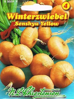 Produktbild von Zwiebel Senshyu Yellow Winterzwiebeln | Zwiebelsamen von N.L. Chrestensen